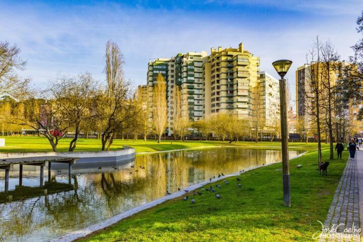 Green Executive Apartment In The Heart Of リスボン エクステリア 写真